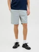 Шорти JACK&JONES світло-сірий JGSGA700 3XL - изображение 1