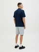Шорти JACK&JONES світло-сірий JGSGA700 3XL - изображение 4