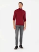 Гольф-водолазка мужская Pierre Cardin G021SZ0TK-000-2028197(Vişne) M Вишневая (8683857743249) - изображение 3