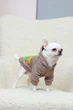 Толстовка для собак Dogs Bomba Brooklyn беж Y-337 3 р. - изображение 2