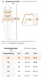Туника пляжная женская длинная 20278 XL Черный с золотистым - изображение 5