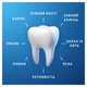 Зубная паста Oral-B Pro-Expert Профессиональная Защита с фторидом олова и очищающими кристаллами, 75 мл - изображение 4