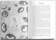 Книга «Бракована людина». Автор - Дадзай Осаму - изображение 5