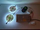 Набір Світлодіодна стрічка (10 метрів) 12V smd5050 ІР20 RGB 60led негерметична - зображення 4