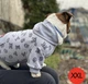Худи для собак и кошек DIEGO hoodie Серые буквы серый трикотаж двухнитка Размер XL универсальное капюшон на липучке декоративный карман с лейбой - изображение 8