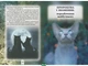 Книга Коты вояки. Тайны Кланов. Путеводитель по серии для подростков фэнтези и фантастика - Ерін Гантер - изображение 1