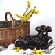Корзина из лозы коричневая (50249) - изображение 2