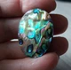 Абалон 48.25Ct (60704) - изображение 3