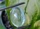 Аквамарин природный 16.62 Карат (937251) - изображение 5