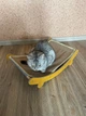 Гамак лежанка для котів релакс + подарунок парова щітка для вичісування котів - зображення 5