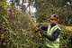 Акумуляторний кущоріз DeWALT DCMHT563P1, 1 акб 18V 5.0Ah, з/п (DCMHT563P1) - зображення 5