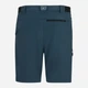 Шорты короткие мужские Regatta A-instTvlLtShts RMJ360-ZRK 38 Синие (5063516324331) - изображение 6