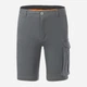 Шорты хлопковые короткие мужские Regatta BendrickShorts RMJ363-EN9 30 Серые (5063516272175) - изображение 5