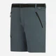 Шорты короткие мужские Regatta XertStretchShorts RMJ365-EN9 52 Серые (5063516323563) - изображение 7