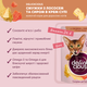 Консервированный корм Delickcious Полоски с лососем и сыром в крем-супе 85 г (D6251402) - изображение 2