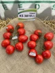 Томат Банти (KS 3819) F1 Kitano 10 шт - изображение 2