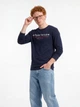Лонгслив мужской Tom Tailor 1049390-10668 4XL Sky Captain Blue (4069402162651) - изображение 1