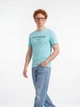 Футболка хлопковая длинная мужская Tom Tailor 1045773-39442 L River Teal с принтом (4069403508311) - изображение 1