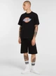 Koszulka męska bawełniana Dickies DK0A88FGBLK1 S Czarna (800070354584) - obraz 3