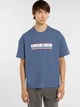 Koszulka męska bawełniana Dickies DK0A88JGRI21 S Niebieska (800070354607) - obraz 1