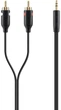 Кабель Belkin 2xRCA (M) - jack 3.5 мм (M) 2 м Black (F3Y116BT2M) - изображение 1