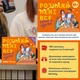 Настольная игра Расскажи мне все. Родители и подростки - изображение 2