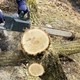 Цепь для электропилы 16 дюймов тип зуба чипер материал хромоникельмолибденовая сталь - изображение 2