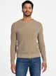 Джемпер мужской Guess X5RR11Z27Y0 M Бежевый (7620837158502) - изображение 1