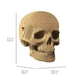 Картонний 3D пазл-конструктор "Cartonic 3D Puzzle SKULL" Череп людини - зображення 3