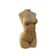 Картонний 3D пазл-конструктор "Cartonic 3D Puzzle FEMALE TORSO" Жіночий торс - зображення 2