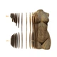 Картонний 3D пазл-конструктор "Cartonic 3D Puzzle FEMALE TORSO" Жіночий торс - зображення 4