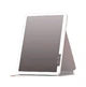 Зеркало для макияжа, косметическое зеркало с подсветкой DOCO Daylight Portable Flat Mirror Pro 11" розовое (FM008P) - изображение 3