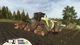 Gra Nintendo Switch Farming Simulator 26 (Kartridż) (4064635420387) - obraz 9