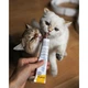 Витамины GimCat Expert Line Kitten для котят витаминизированная паста 50 г - изображение 5