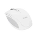 Миша Trust OZZA compact, BT/WL/USB-A, білий - изображение 3