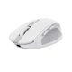 Миша Trust OZZA compact, BT/WL/USB-A, білий - изображение 4