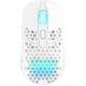 Миша Xtrfy M42, WL/USB-A, RGB, білий - изображение 2