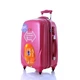 Валіза мала Tashiro Ambassador Classic A8503S Pink - изображение 4