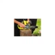 Цепная пила Ryobi ONE+ RY18CS20A-0, 18В (без АКБ и ЗУ) (5133005414) Ryobi 5133005414 990193 - изображение 2
