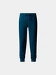 Брюки мужские The North Face M Nse Pant 44 Синій NF0A4SVQ1NO1 - изображение 2