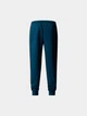 Брюки мужские The North Face M Nse Pant 44 Синій NF0A4SVQ1NO1 - изображение 3