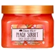 Скраб для тіла персиковий Tree Hut Shea Sugar Scrub Peach Sorbet цукрова паста для омолодження шкіри 510 г - зображення 1