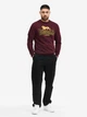 Світшот флісовий чоловічий Lonsdale LAWINS 117463-2062 XXL Oxblood/Yellow/Black (4070376006537) - изображение 2