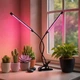 Гнучка світлодіодна фітолампа ультрафіолетова 2 голови Grow Light для квітів орхідей рослин мікрозелені повний спектр фіто лампа на прищіпці від USB - зображення 2