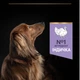 Сухой корм для взрослых собак с чувствительным пищеварением Purina Pro Plan Small&Mini 1+ Sensitive Digestion беззерновой с индейкой 7 кг (7613036731256) - изображение 7