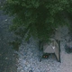 Namiot dwuosobowy z dużym przedsionkiem i zadaszeniem Naturehike Shandi CNK2300ZP017 Szary (6976023925122) - obraz 6