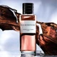 Парфумована вода унісекс Dior Oud Rosewood 125 мл - зображення 3