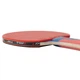 Ракетка для настольного тенниса Joola Rossi JR Pro Red/Black (1073-930768) - изображение 2