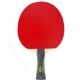 Ракетка для настольного тенниса Gewo Champ FL Red/Black (1073-931049) - изображение 1