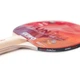 Ракетка для настольного тенниса Gewo Bat Fun-Starter FL Red/Black (1073-931326) - изображение 3